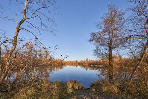 Gemeinde Kirchdorf Landkreis Rottal-Inn Waldsee Lago Herbst (Dirschl Johann) Deutschland PAN